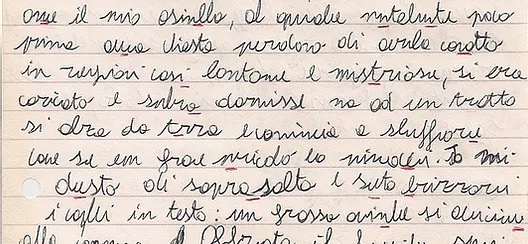 Il mio maestro delle elementari