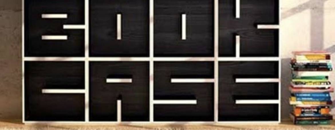 Read Your Book Case