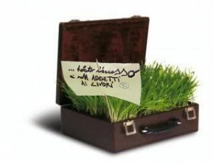 179473_10200561092983680_1241001100_n