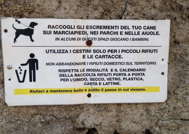 Cani, cavalli e altre deiezioni