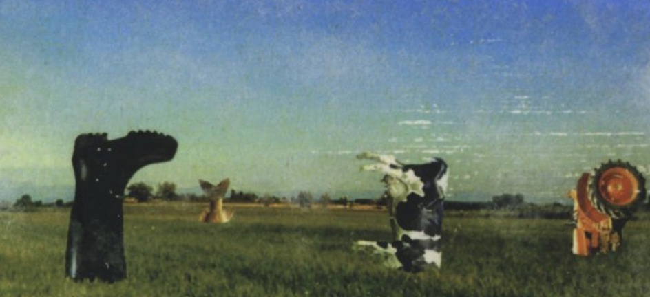 Oceano padano