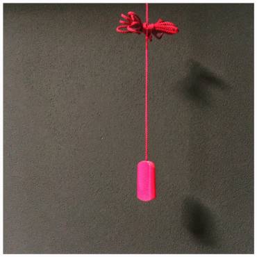 Dario e Bob in 906 battute (spazi inclusi)