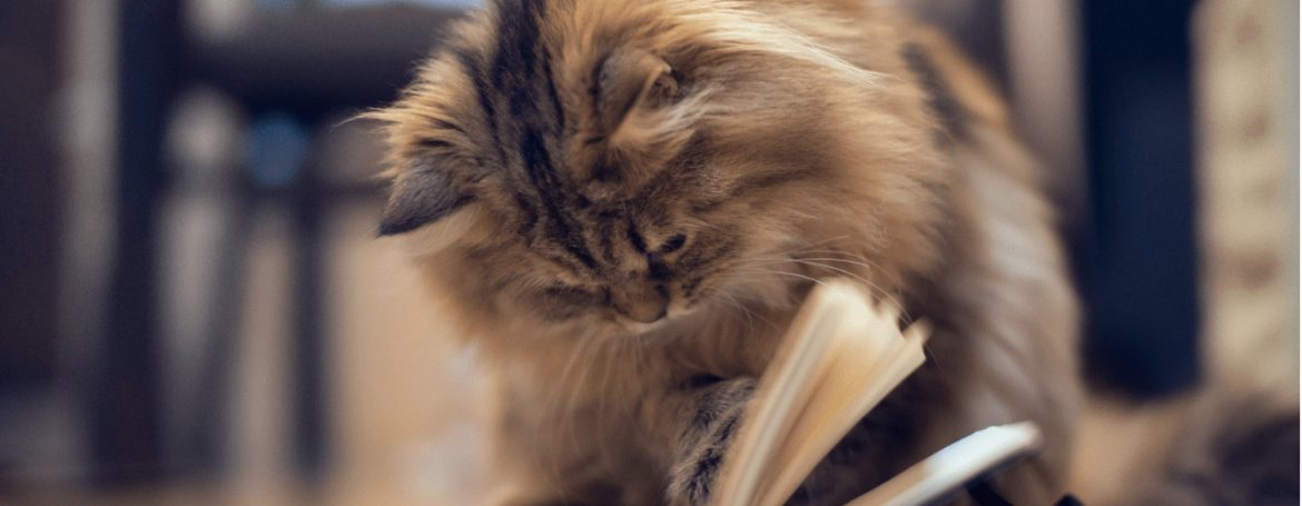 Dell’arte di disporre i libri [2]