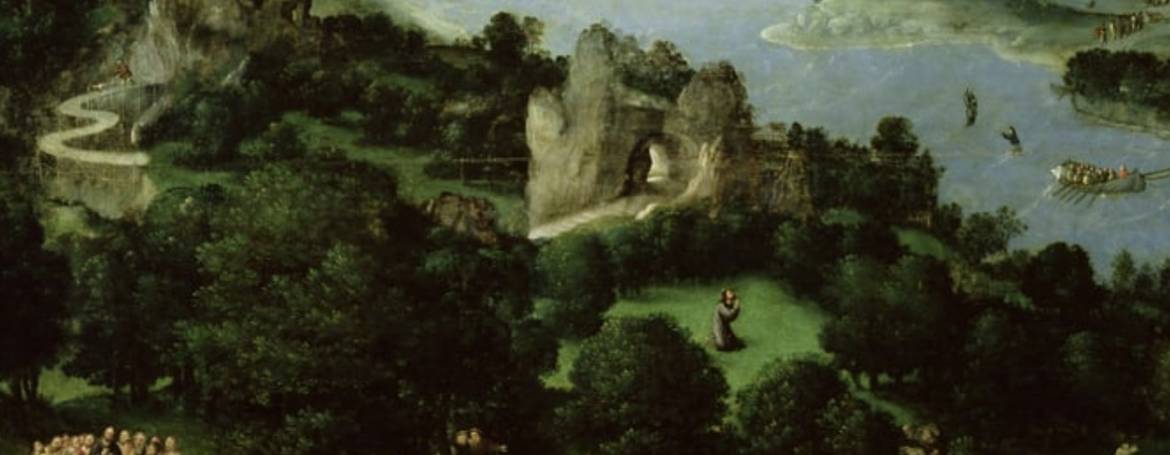 La mia prima quercia