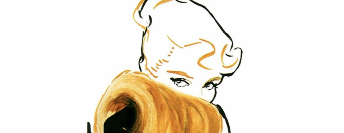 Blazer 6, il retro di copertina