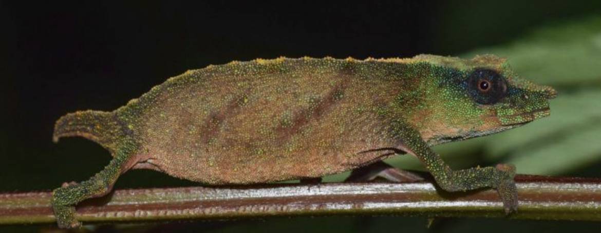 Sette parole made in Usa, i vincitori