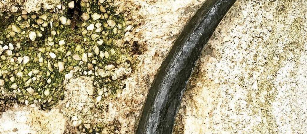 7 parole Just-Lit? Tutto procede a meraviglia